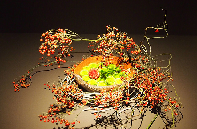 野ばらの実　菊