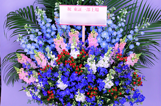 ブルー系・札あり